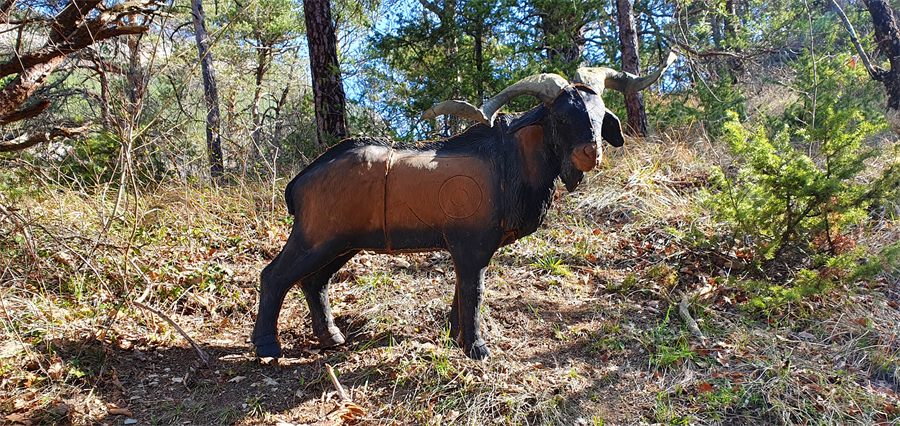Cible 3D en forme de mouflon sur le parcours officiel